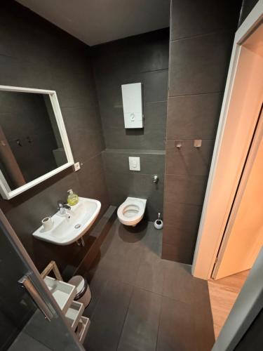 a bathroom with a toilet and a sink at Haus Thomas in Dortmund