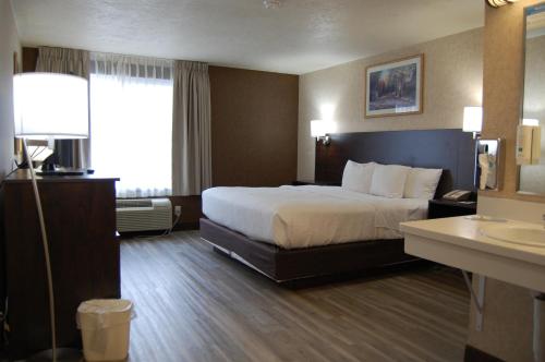 a hotel room with a bed and a sink at Quality Inn Homestead Park in Billings