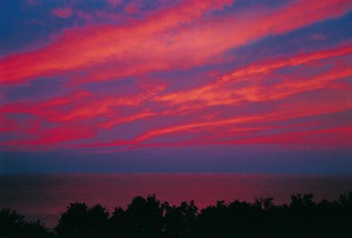 a red cloudy sky with trees in the foreground at Appartements Am Reiterhof Seepferdchen in Timmendorf