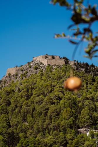 a mountain covered in trees with a building on it at Kanakis Apartments in Asos
