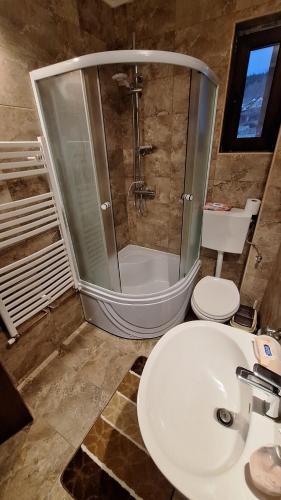 a bathroom with a shower and a sink and a toilet at Casa Antonia in Azuga