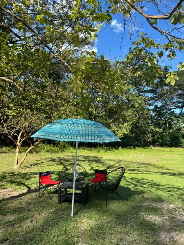 a table and chairs under an umbrella in a field at Chalet de los ciervos in Isla Cabuya