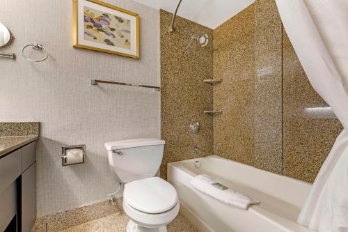 Koupelna v ubytování Comfort Inn