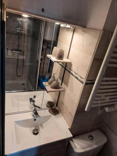 une salle de bain avec un lavabo, des toilettes et un miroir dans l'établissement Résidence Héliopolis Bâtiment Fgh - STUDIO 2 pers. HELIOPOLIS FGH MAE-5271, au Cap d'Agde