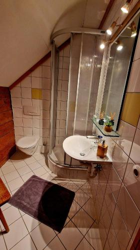 a bathroom with a sink and a toilet at Sonnleiten Zimmer 4 in Abtenau