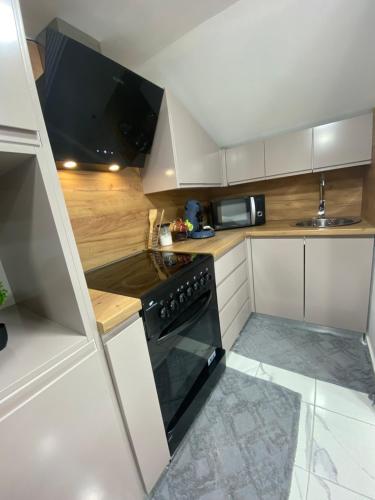 une petite cuisine avec une cuisinière et un micro-ondes dans l'établissement Studio Dijon, à Dijon