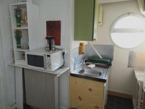 une petite cuisine avec un micro-ondes et un évier dans l'établissement REF 11 studio BAGNEUX 5 minutes à pied métro ligne 4, à Bagneux
