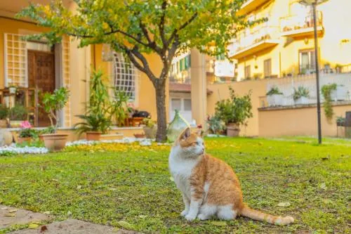 Villa Gatta photo 6