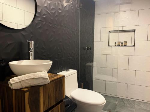 Koupelna v ubytování Begonias Loft a 5 Min Del Auditorio Telmex