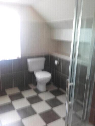 a bathroom with a toilet and a glass shower at Ard A Mhaoire in Glendorragha