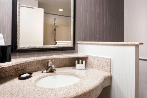 a bathroom with a sink and a mirror at Courtyard by Marriott Columbia in Columbia
