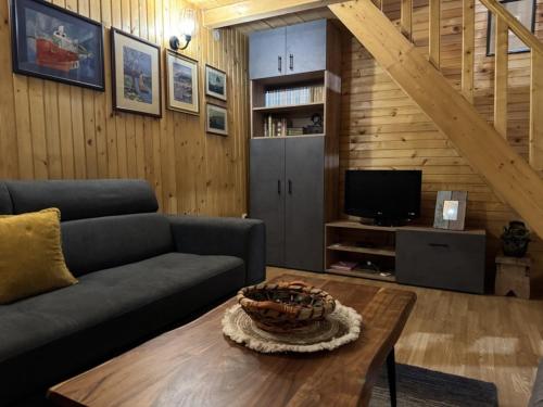 un salon avec un canapé et une table basse dans l'établissement Cottage Walnut, à Kolašin