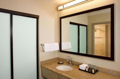 Sheraton Suites Orlando Airport Hotel Image