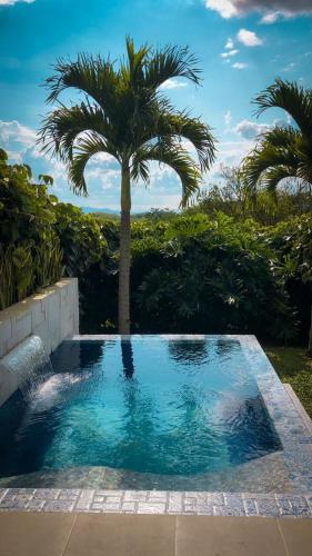 a palm tree and a swimming pool with a palm tree at Ecoparadise Hotel in Pereira