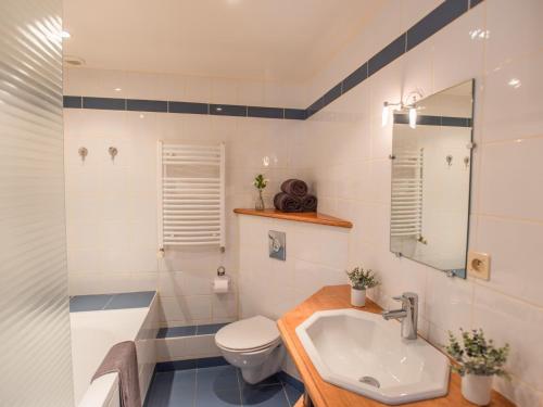 a bathroom with a sink and a toilet at Gite du Moulin in Guignicourt-sur-Vence