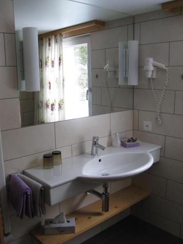 a bathroom with a sink and a mirror at Waldgasthaus Lehmen in Weissbad