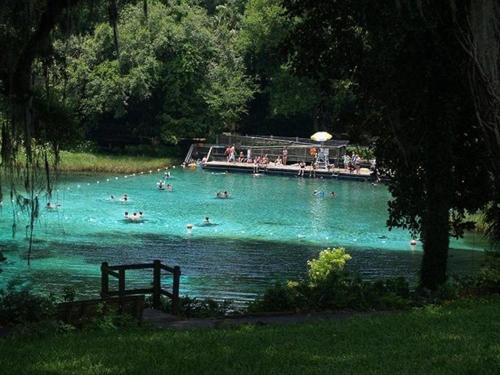a group of people swimming in a pool of water at Rainbow River Springs Dunnellon in Dunnellon