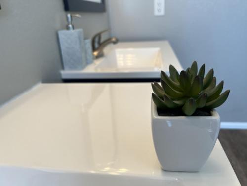 a white vase with a plant on a kitchen counter at Private Home - Billiards, Mountain Views, Private Desert Access, HOA Pool & Spa, BBQ, at Lambert Park - Bourbondale in Tucson