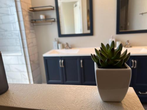 a bathroom with blue cabinets and a potted plant on a counter at Private Home - Billiards, Mountain Views, Private Desert Access, HOA Pool & Spa, BBQ, at Lambert Park - Bourbondale in Tucson