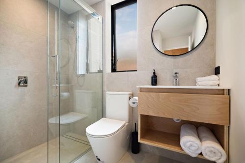 a bathroom with a shower and a toilet and a mirror at The Huts at Lakes Edge in Lake Tekapo