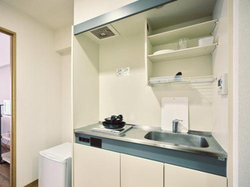 a small kitchen with a sink and a mirror at vetta kumamoto suizenji 403 in Kumamoto