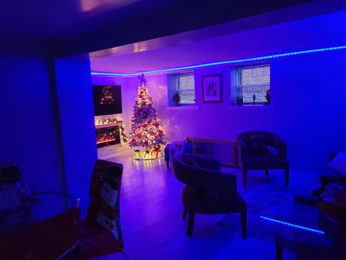 a living room with a christmas tree and blue lights at Lovely 2 bedroom Apartment with 2 Entrance and Parking in University Heights