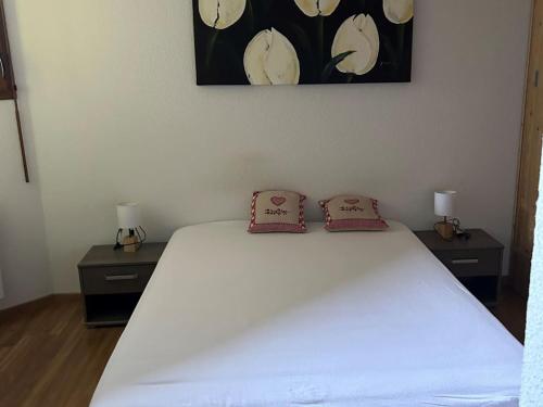 Appartement Châtel 3 pièces, 6 pers, proche centre, terrasse, parking