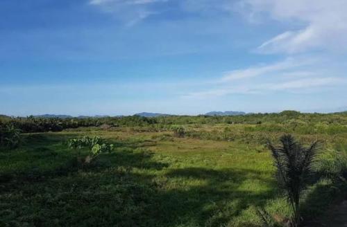 a field of grass with trees and a blue sky at JP Place in Ban Ru Yai