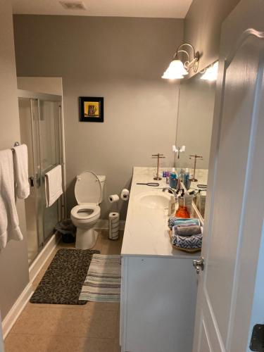 une salle de bain avec un lavabo blanc et des toilettes dans l'établissement The Alex, à Braselton