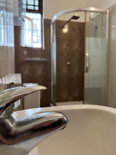 a bathroom with a shower and a sink with a faucet at Grand Royal Villa Negombo in Negombo