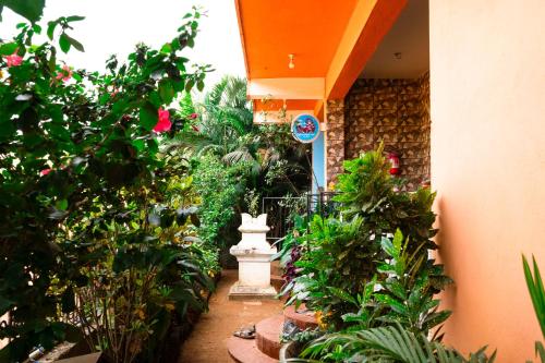 Jardín al aire libre en Last Minute Trip Hostel Morjim