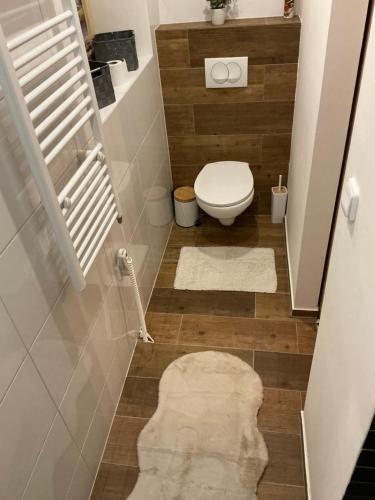a small bathroom with a toilet and a rug at Apartmány na Náměstí in Český Brod
