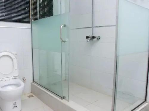 a bathroom with a glass shower stall and a toilet at Ambience Hotel and Suite - Deluxe in Abuja