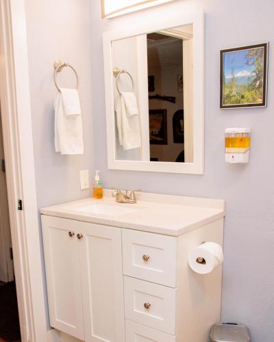 a bathroom with a white sink and a mirror at Blackberry Bunkhouse in Ashford