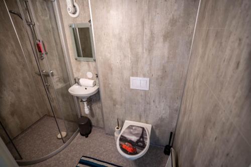 une salle de bain avec douche, lavabo et toilettes dans l'établissement Bnb Central Apartment 4Stavanger - Berti-2rooms, à Stavanger