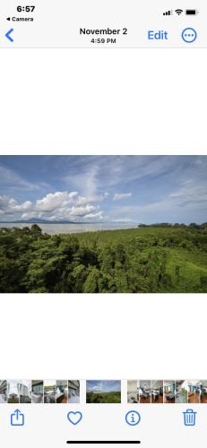 a screenshot of a website with a view of a field at Santubong Suites High Floor-12th Floor in Kuching