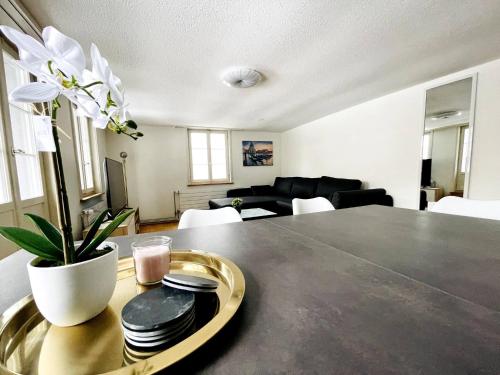 Imagen de la galería de Beautiful Old Building Apartment In The Center, en St. Gallen