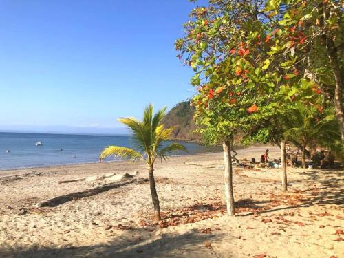 a beach with palm trees and the ocean at Holiday Beach House In Punta Leona - wprivate Pool in Punta Leona
