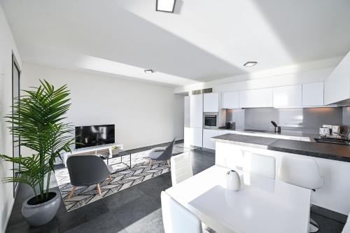 Kuchyň nebo kuchyňský kout v ubytování Lake View Suite Melide