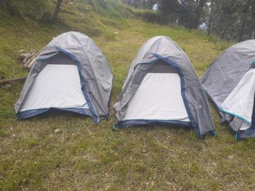 deux tentes assises dans l'herbe sous la pluie dans l'établissement Janardan Campsite Kausani, à Kausani