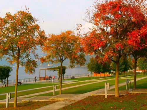 a group of trees with red leaves in a park at Lago Maggiore Holiday House with Panoramic Views in Dumenza