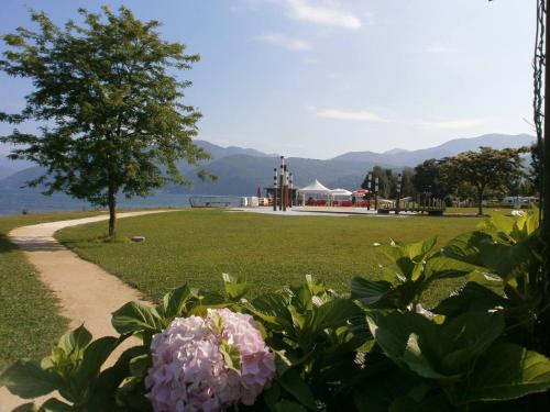 a path in a park with a tree and flowers at Lago Maggiore Holiday House with Panoramic Views in Dumenza