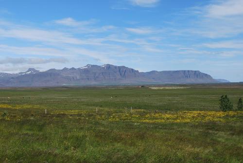 a field of grass with a mountain in the background at Sodulsholt Cottages in Sodulsholt