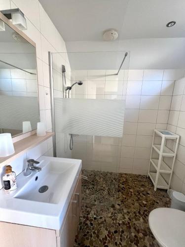 a bathroom with a sink and a toilet and a mirror at Holiday house Viktoria at lake Lauwersmeer in Anjum