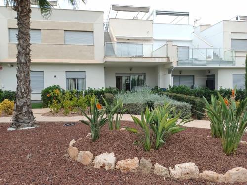 een gebouw met een palmboom en planten in een tuin bij Vista bella golf beach in Orihuela
