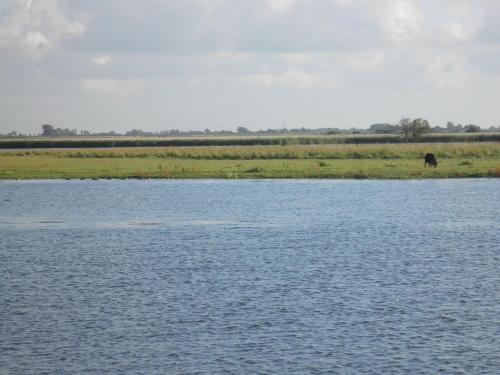 Gallery image of Het kleine Huis mobile home by the harbour and the Lauwersmeer in Anjum