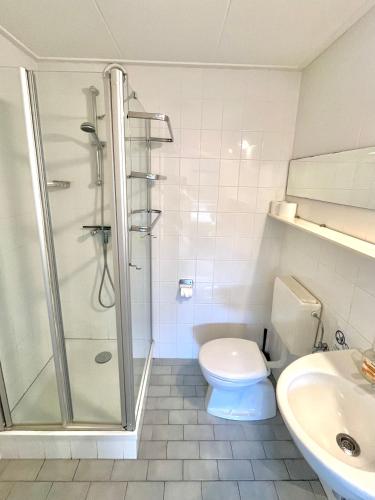 a bathroom with a shower and a toilet and a sink at 6pers Modern harbor house Jasmijn with fenced garden and lake view in Anjum