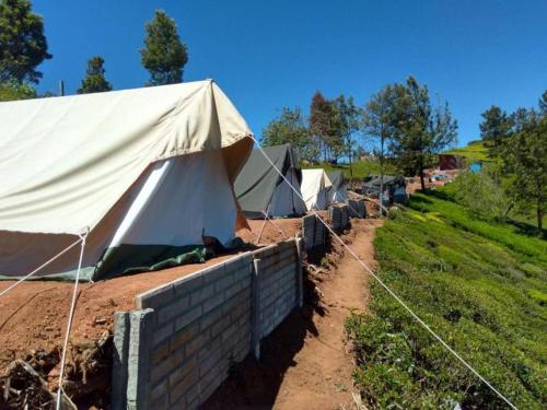 uma fileira de tendas em um campo ao lado de uma cerca em Swiss Tents in Ooty, Tn em Ooty