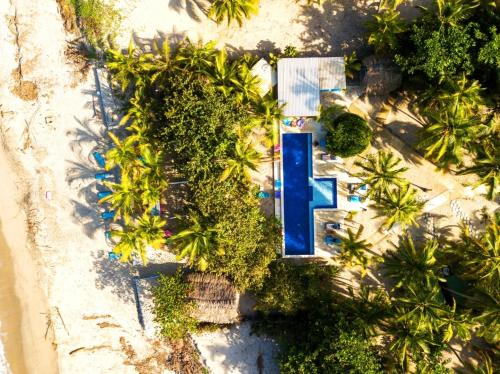 an overhead view of a pool on a beach at Blue Mango Beach Hotel in Guachaca