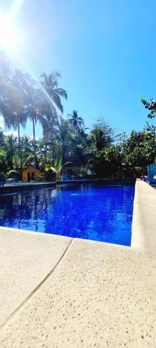 a large blue swimming pool with palm trees in the background at Blue Mango Beach Hotel in Guachaca